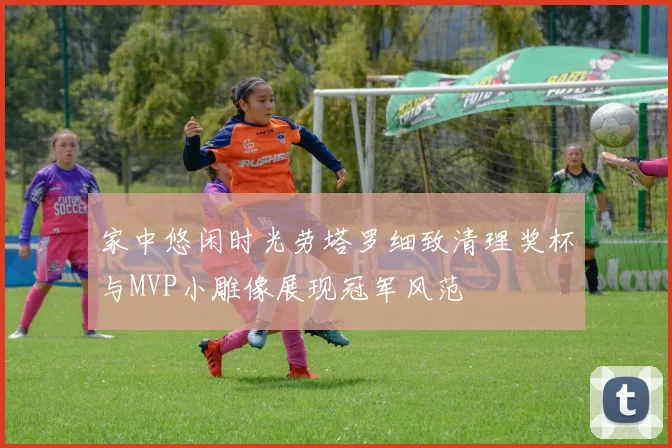 家中悠闲时光劳塔罗细致清理奖杯与MVP小雕像展现冠军风范